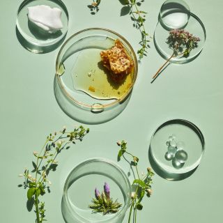 Natürliche und sichere Formel